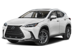 2025 Lexus NX 350 Base