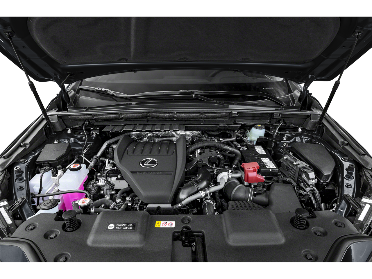 2025 Lexus NX 350 Base