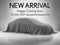 2024 Lexus NX 250 Base