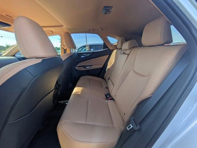 2024 Lexus NX 250 Base