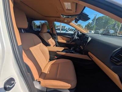 2024 Lexus NX 250 Base