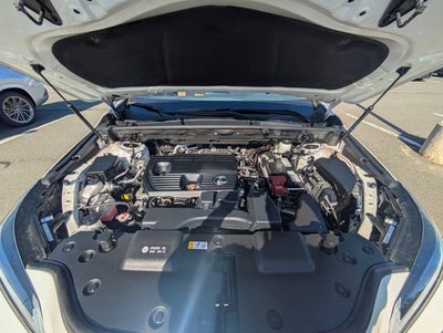 2024 Lexus NX 250 Base
