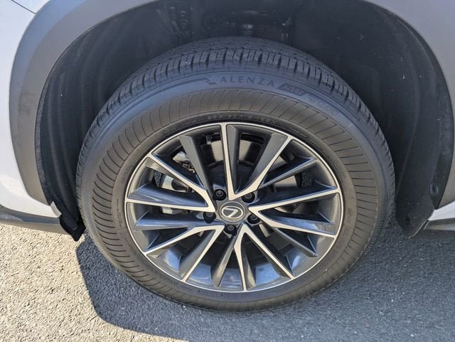 2024 Lexus NX 250 Base