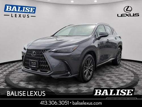 2024 Lexus NX 350 Base