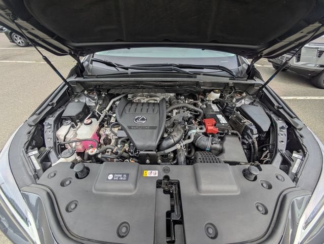 2024 Lexus NX 350 Base
