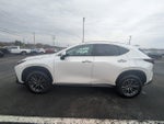 2024 Lexus NX 350h Base