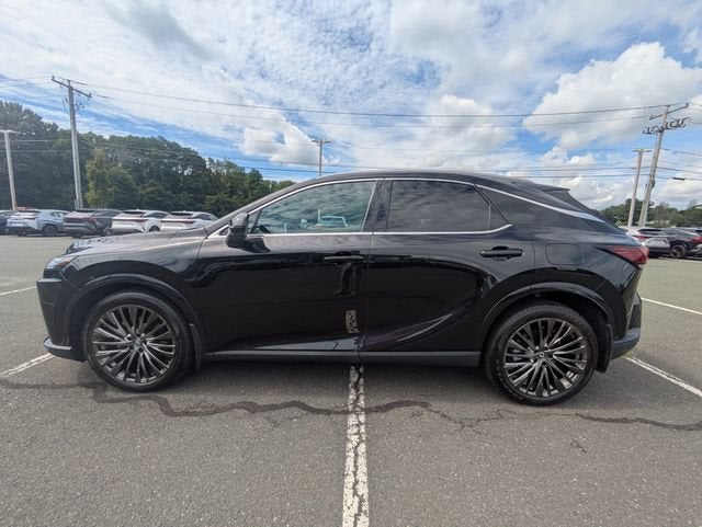 2025 Lexus RX 350 Luxury