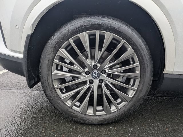 2024 Lexus RX 350 Luxury
