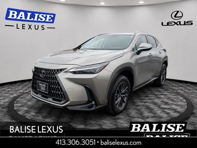 2025 Lexus NX 350 Premium