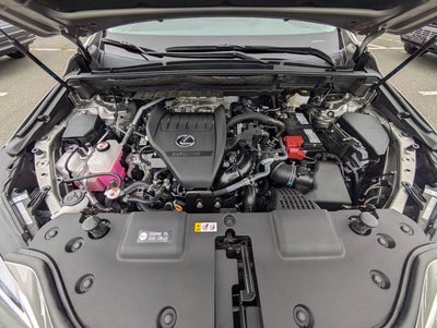 2025 Lexus NX 350 Premium
