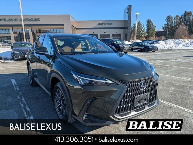 2024 Lexus NX 350 Premium