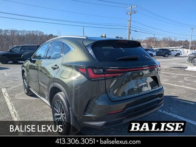 2024 Lexus NX 350 Premium