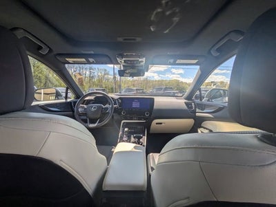 2024 Lexus NX 350 Premium