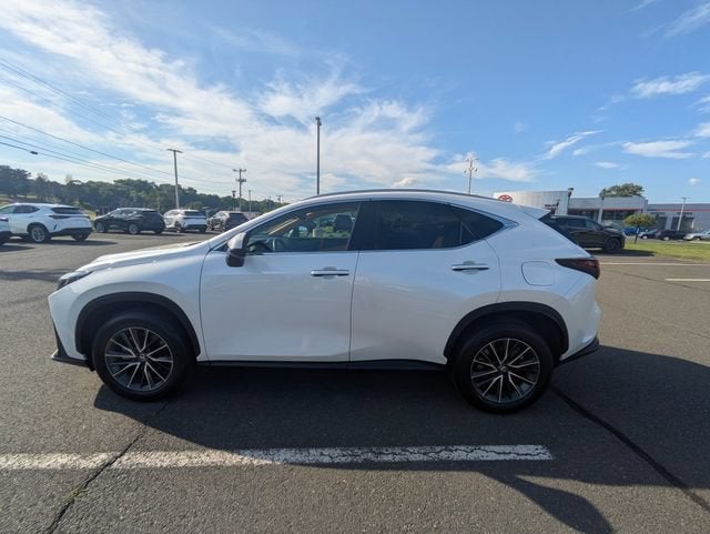 2025 Lexus NX 350h Premium