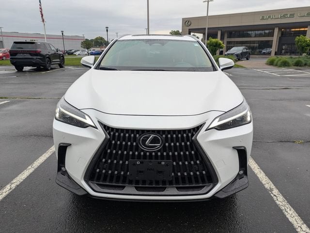 2025 Lexus NX 350h Premium