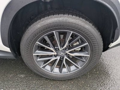 2025 Lexus NX 350h Premium