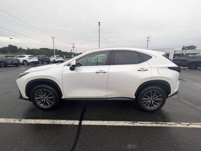 2025 Lexus NX 350h Premium