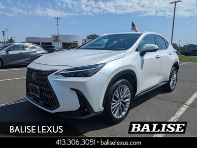 2025 Lexus NX 350h Premium