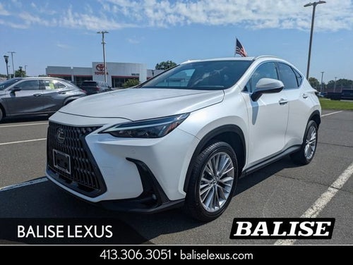 2025 Lexus NX 350h Premium