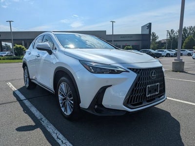 2025 Lexus NX 350h Premium