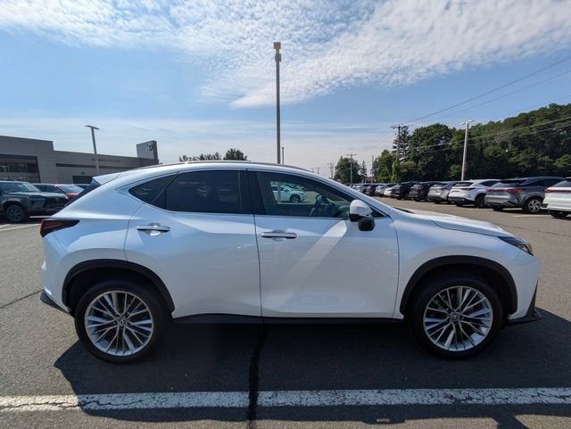 2025 Lexus NX 350h Premium