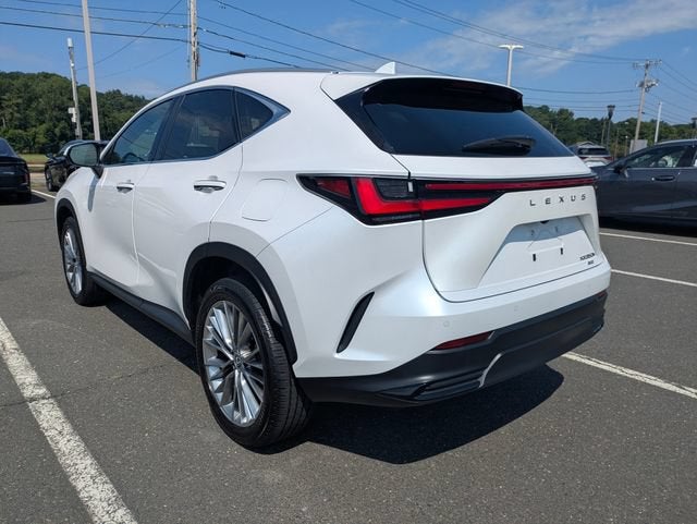 2025 Lexus NX 350h Premium