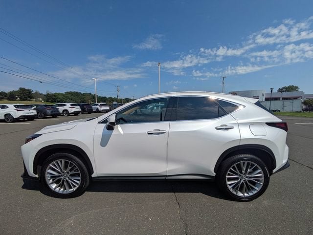 2025 Lexus NX 350h Premium