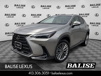 2025 Lexus NX 350h Premium