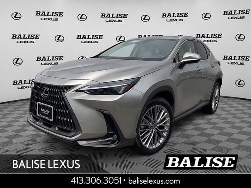 2025 Lexus NX 350h Premium