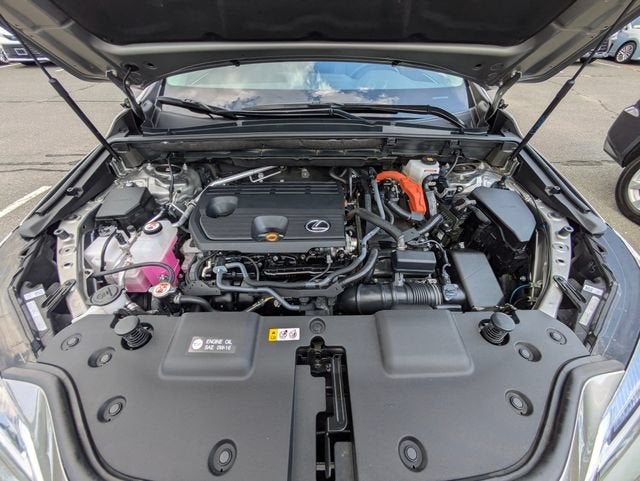 2025 Lexus NX 350h Premium