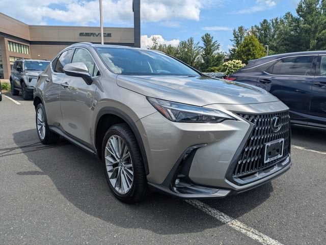 2025 Lexus NX 350h Premium