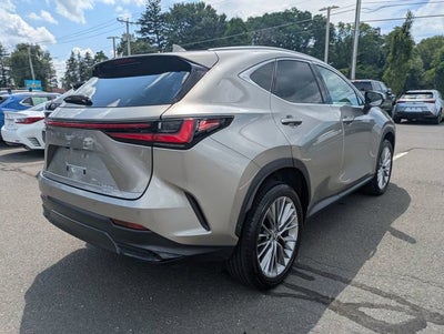 2025 Lexus NX 350h Premium