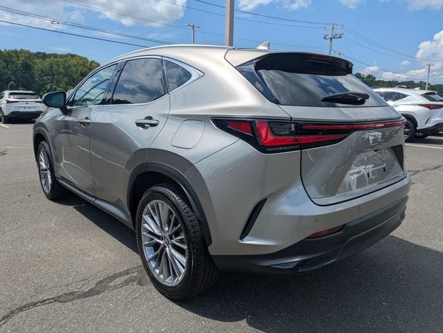 2025 Lexus NX 350h Premium