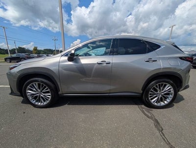 2025 Lexus NX 350h Premium