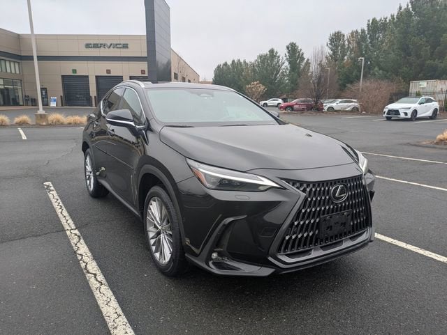 2025 Lexus NX 350 Luxury