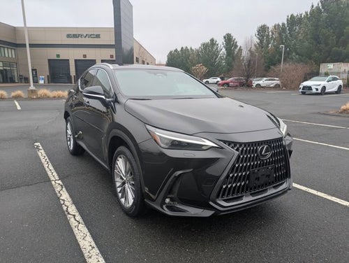 2025 Lexus NX 350 Luxury