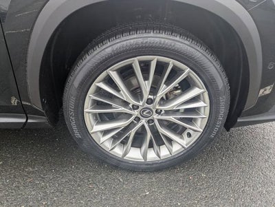 2025 Lexus NX 350 Luxury