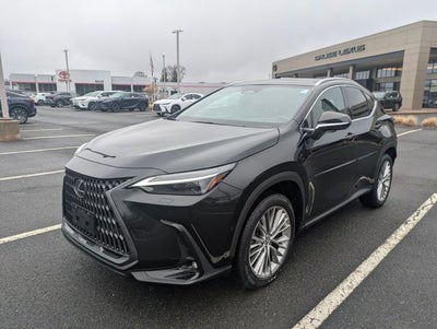 2025 Lexus NX 350 Luxury