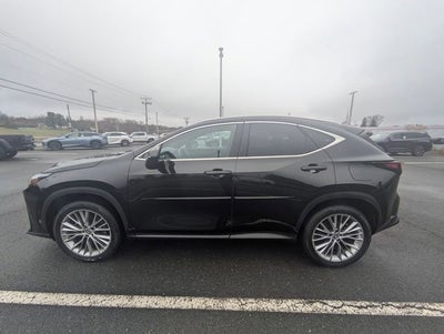 2025 Lexus NX 350 Luxury