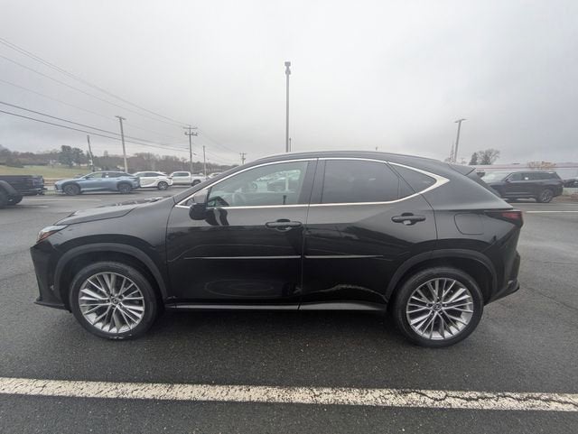 2025 Lexus NX 350 Luxury