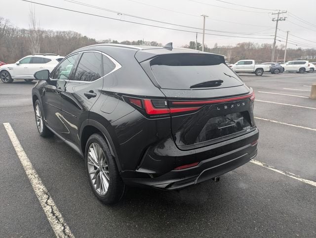 2025 Lexus NX 350 Luxury