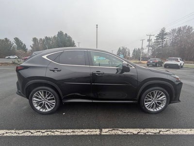 2025 Lexus NX 350 Luxury