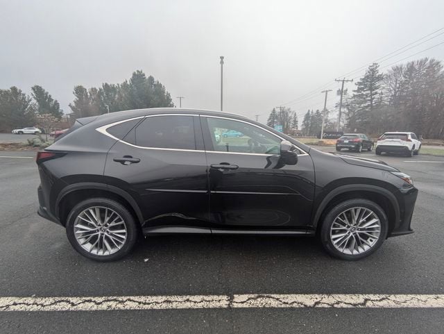 2025 Lexus NX 350 Luxury