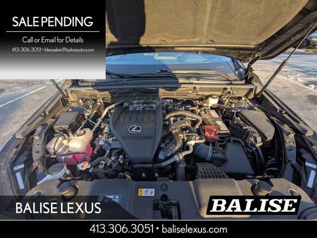 2024 Lexus NX 350 Luxury