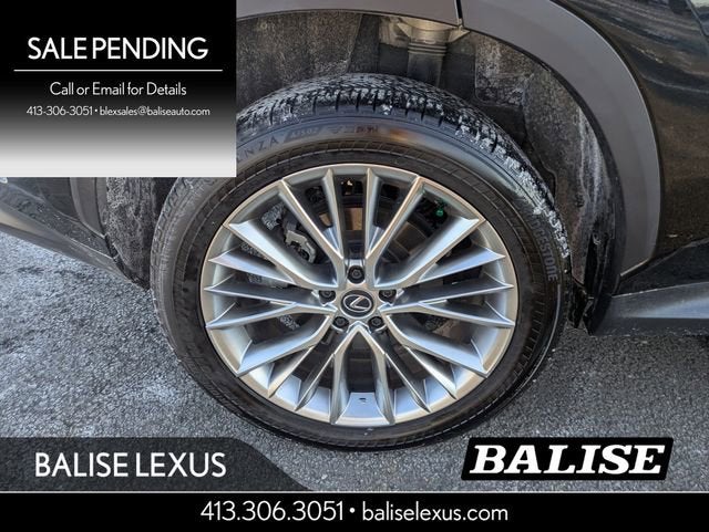 2024 Lexus NX 350 Luxury