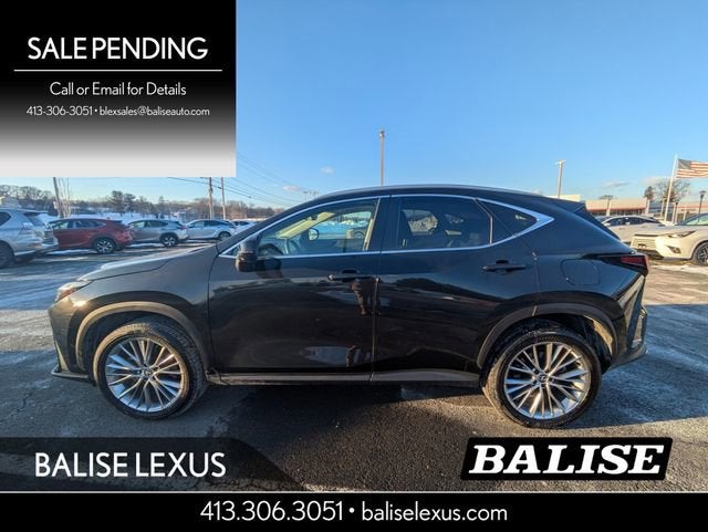 2024 Lexus NX 350 Luxury