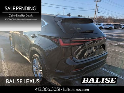 2024 Lexus NX 350 Luxury