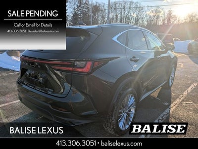 2024 Lexus NX 350 Luxury