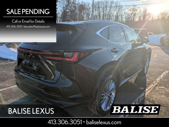 2024 Lexus NX 350 Luxury