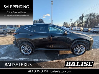 2024 Lexus NX 350 Luxury